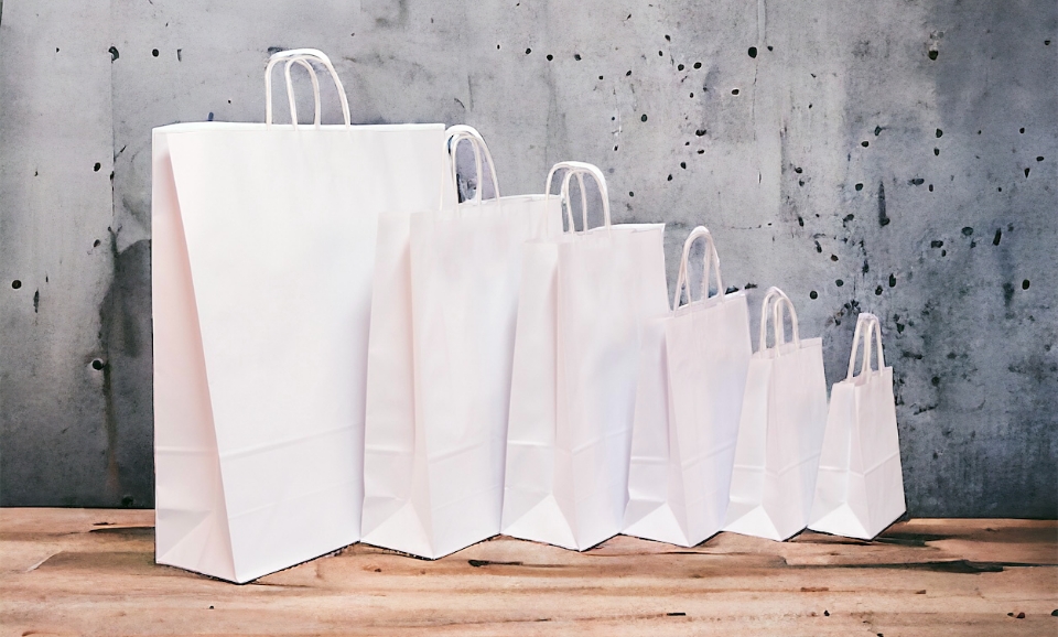 White Plain Paper Bags